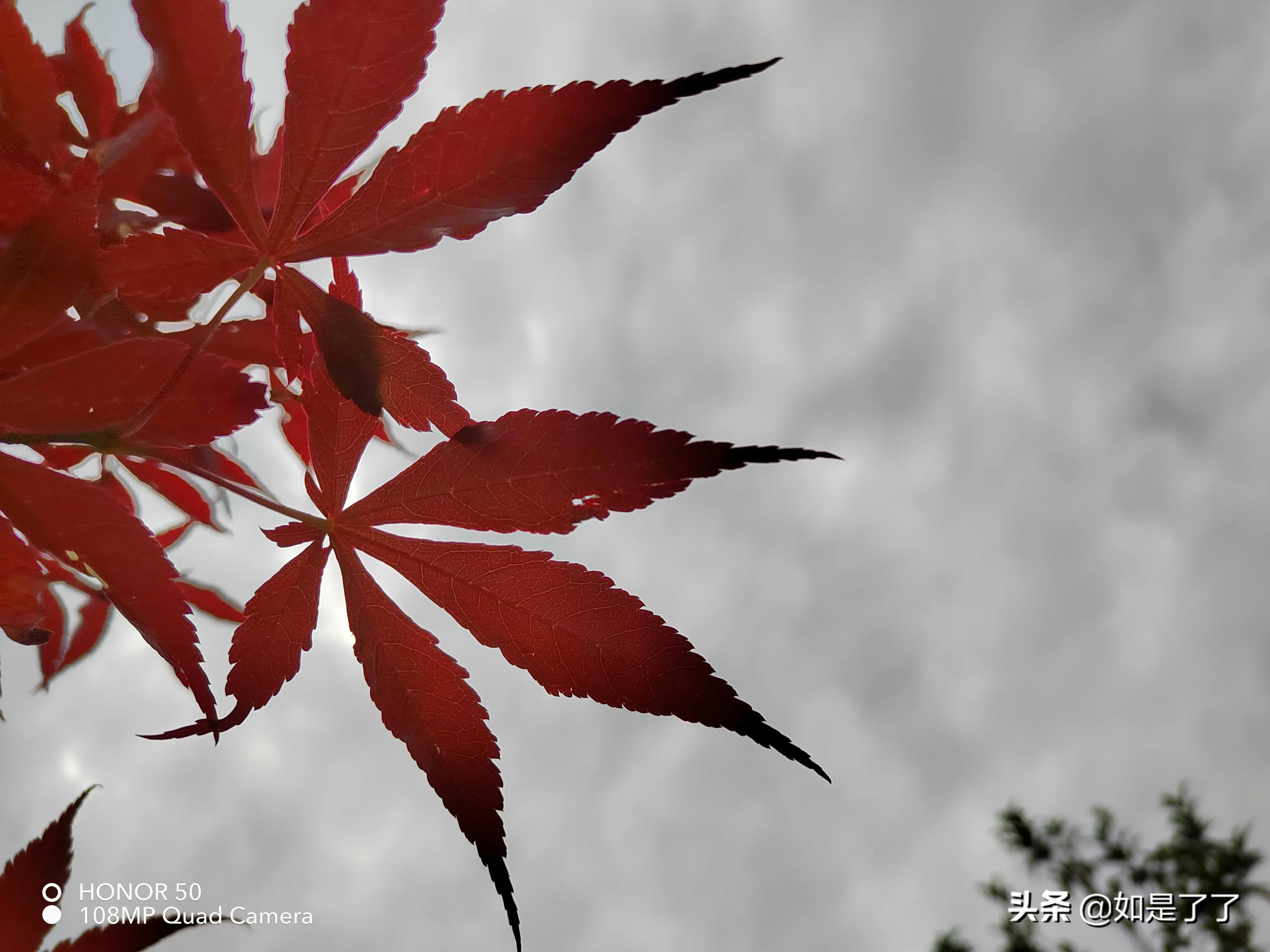 人生过半,极简生活,喜已所喜