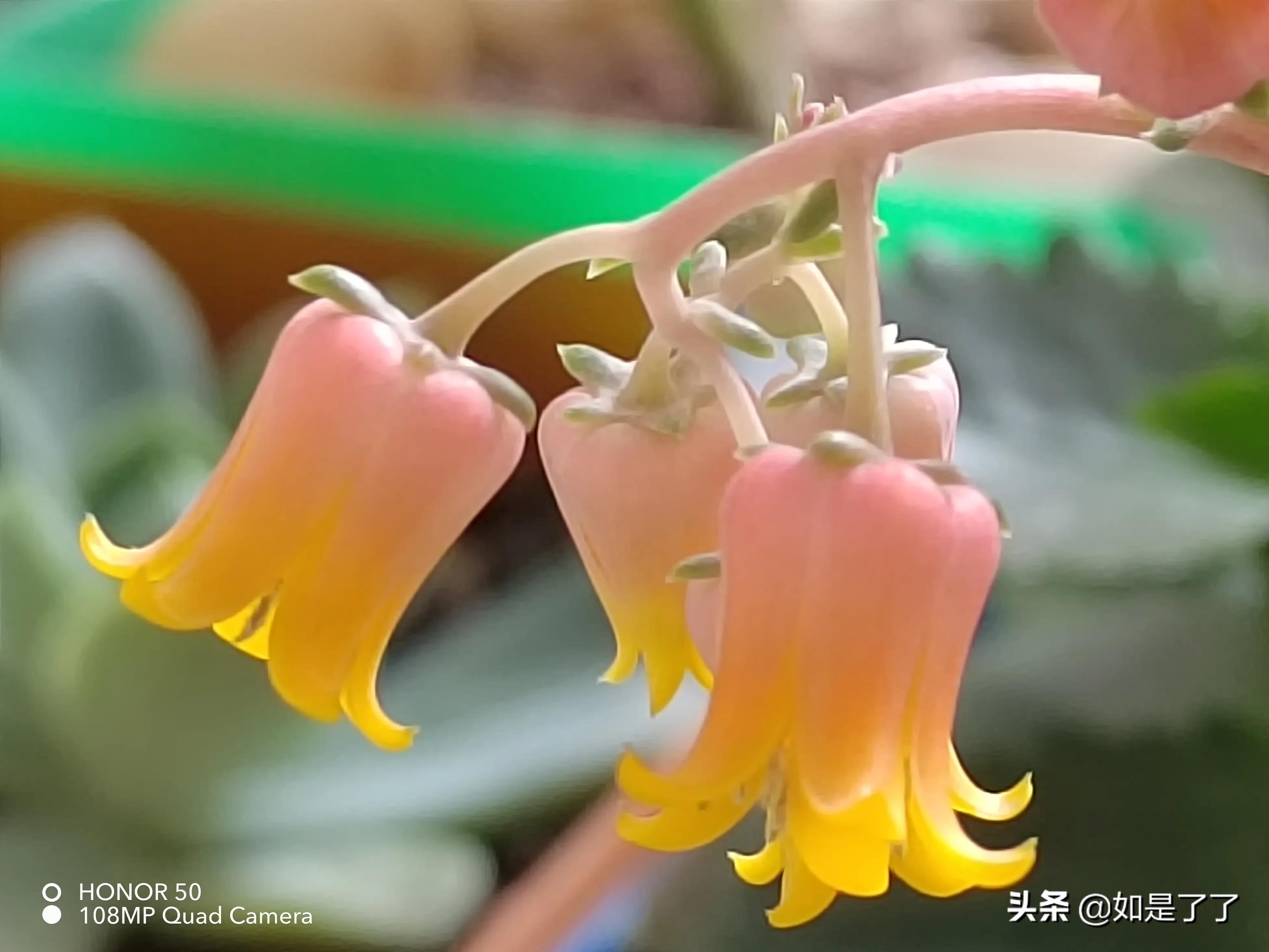 人生过半,极简生活,喜已所喜