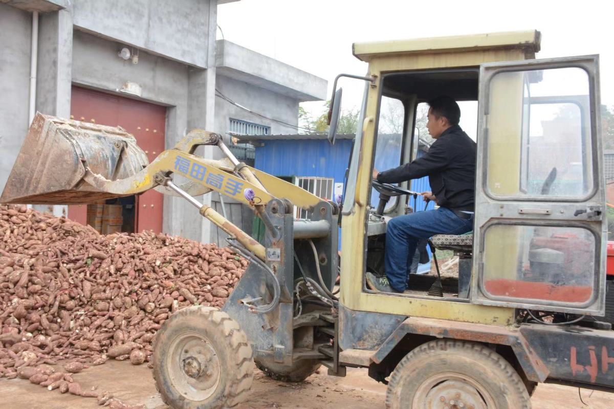 “80后”返乡创业记：他曾是南下打工人，返乡创业6年变身农村电商达人