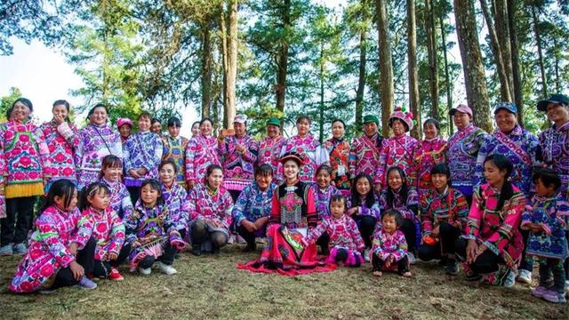 美在大姚丨插花节,彝家人的浪漫情诗-图1