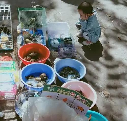 02年女儿放学喊陌生男子爸爸，一查DNA，竟是失散半世纪的亲叔叔-图2