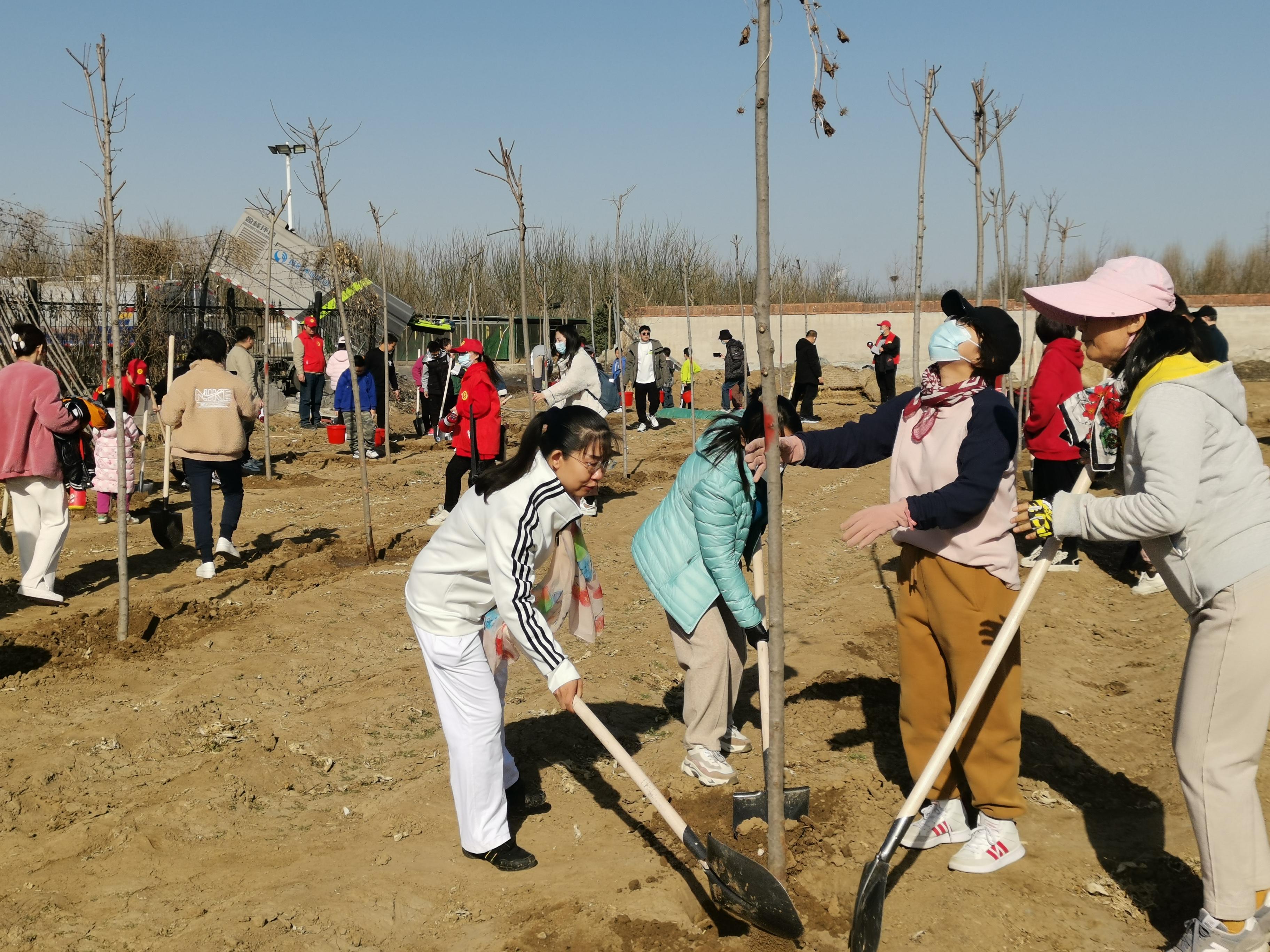 拥抱春天，播种绿色，放飞希望——三河市开展3·12植树活动-图2
