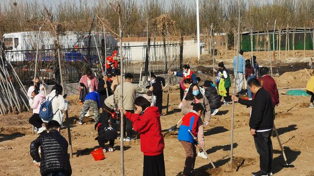 拥抱春天，播种绿色，放飞希望——三河市开展3·12植树活动-图1