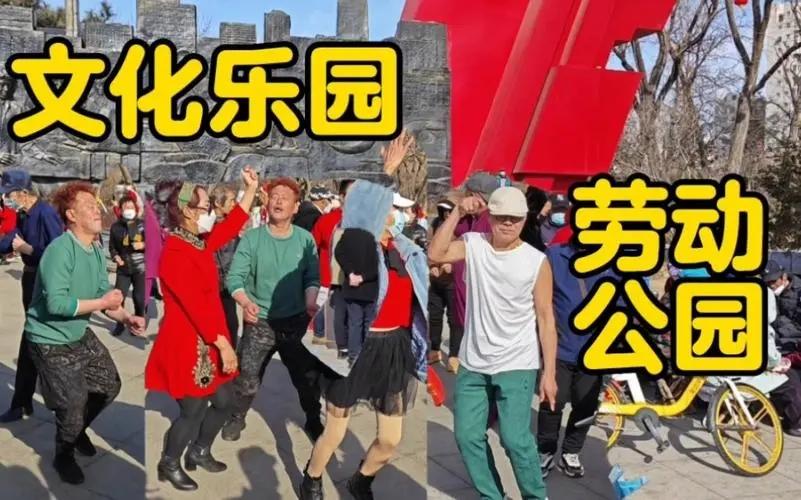 大快人心！沈阳劳动公园“钻裤裆”“挂满大妈”等不雅舞姿被整治-图3