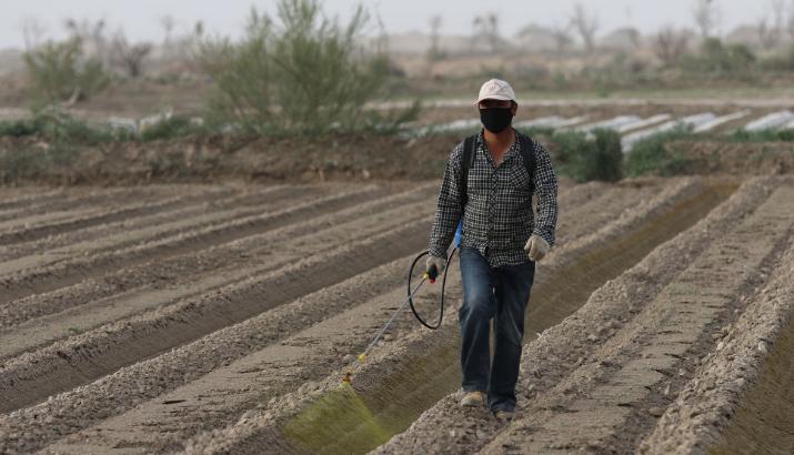 60岁以上农民工全部清退？中央一号文件：5个方面保证农民权益-图4