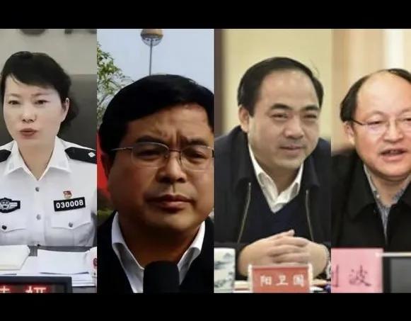 落马市长阳卫国“太子奶冤案”5人组成员，三兄弟和儿子一起被捕-图2