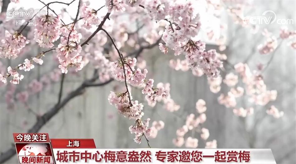 提振消费 丰富文化生活 “烟火气”里看活力中国-图2