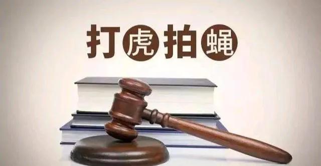 辽宁省12名干部落马接受审查调查或处罚，其中多人已退休-图4