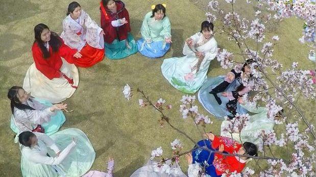 9首春花“飞花令” 边赏花边涨文采！-图1